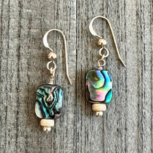 Load image into Gallery viewer, Abalone Shell Earrings
